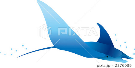 マンタ マンタ 2276089