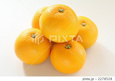 はっさく はっさく 2278528