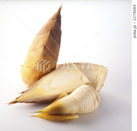 たけのこ 2279064