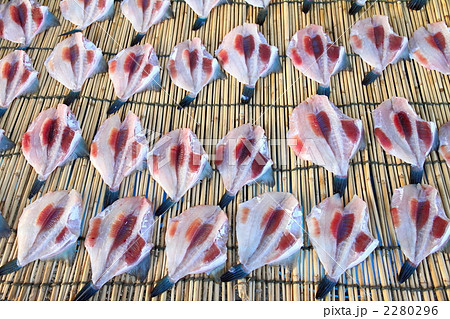 ウマヅラハギの干物 ウマヅラハギの干物 2280296