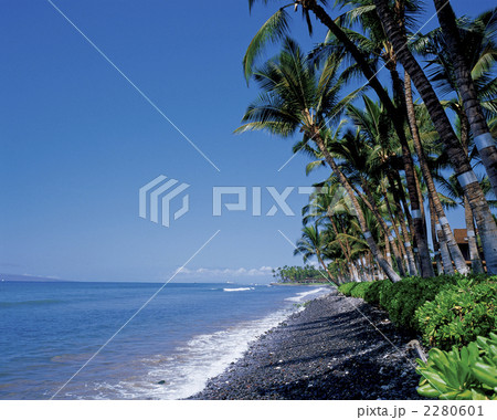 マウイ島の黒砂海岸 2280601