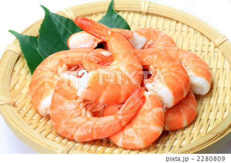 蒸し海老 2280809