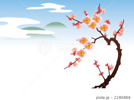 梅 梅 2280866