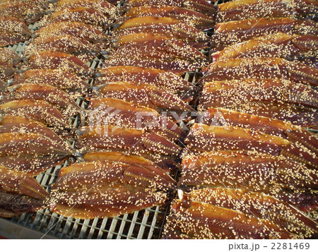 さんまのみりん干し 2281469