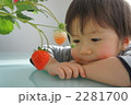 収穫ワクワク 2281700