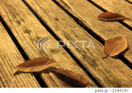 ベンチの落ち葉 ベンチの落ち葉 2284197
