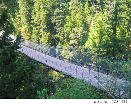 キャピラノブリッジ 2284451