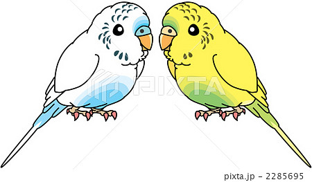 セキセイインコ 2285695