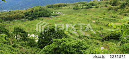 信州稲倉の棚田 2285875