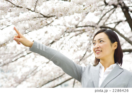 新入社員 就職活動 女性 新入社員 就職活動 女性 2286426