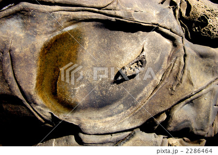 日南海岸の奇岩 2286464