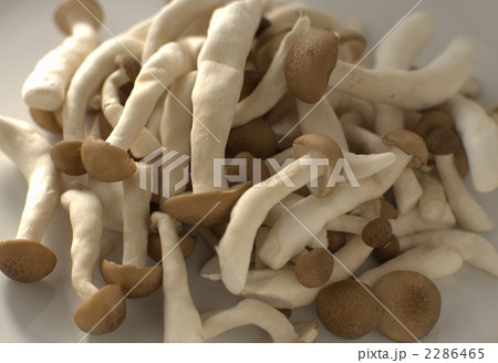 カットされたぶなしめじ 2286465