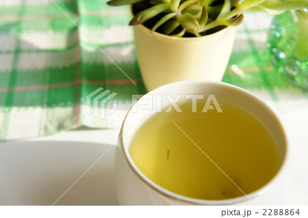 茶柱 茶柱 2288864