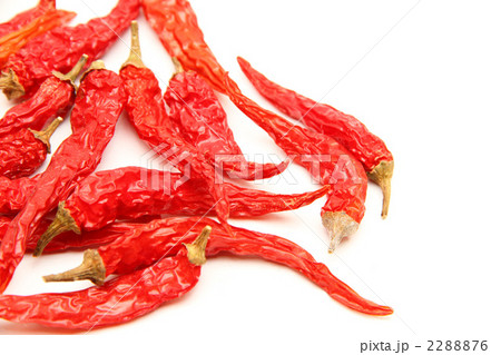 自家製トウガラシ２ 2288876