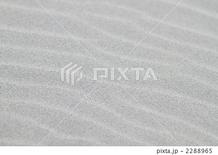 風紋 風紋 2288965