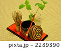 茶道 2289390