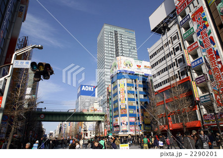 秋葉原 2290201