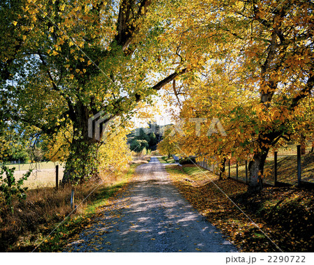 アロータウンの田舎道 アロータウンの田舎道 2290722
