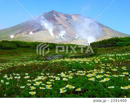 神々の遊ぶ庭 神々の遊ぶ庭 2291400