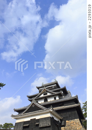 松江城 2293019