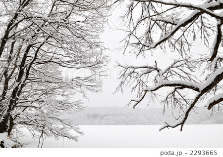 雪景色 2293665
