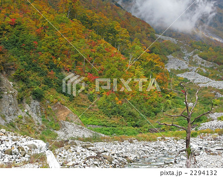 紅葉の小池新道分岐 紅葉の小池新道分岐 2294132