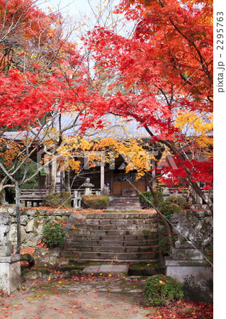 花の寺・秋 2295763