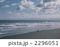 2296051
