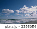 2296054