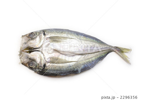 出来立ての真鯵の干物 2296356