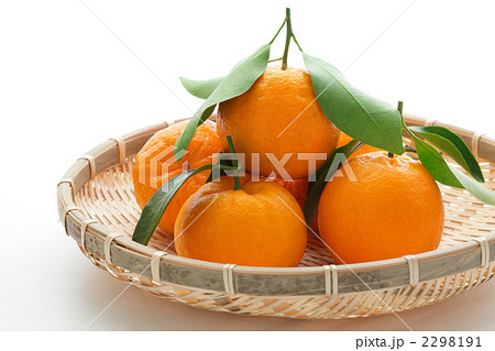 ザルに盛った木熟ポンカン 2298191