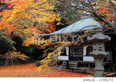 晩秋の金蔵寺 晩秋の金蔵寺 2298243