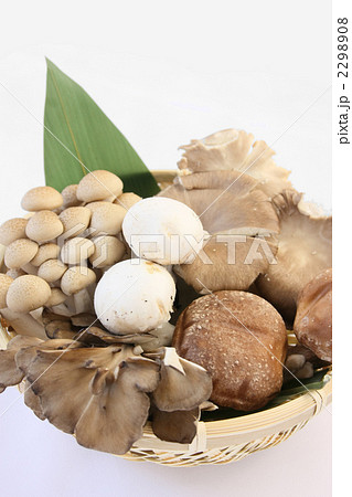 きのこいっぱい 2298908