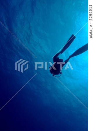 海中のダイバー 2299611