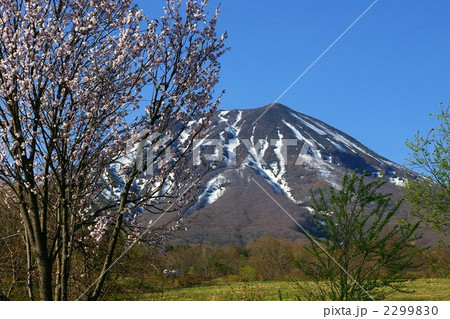 岩木山 2299830