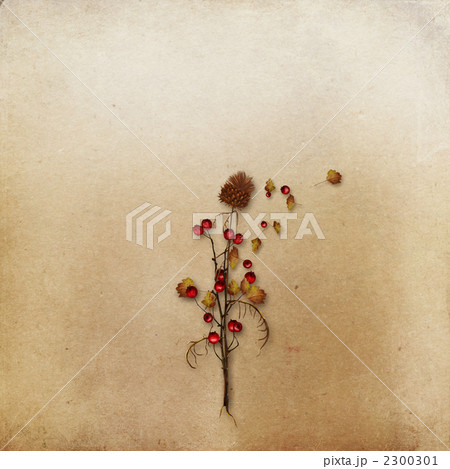花で飾られた背景 花で飾られた背景 2300301