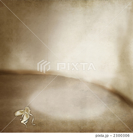 ポワントとのシーン 2300306