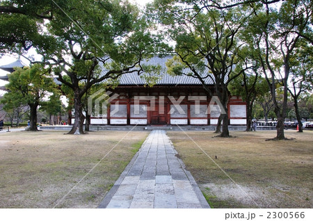 東寺・講堂と参道 2300566