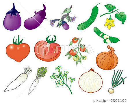 野菜の花 ナス トマト キュウリ 大根 玉ねぎ のイラスト素材 2301192 Pixta