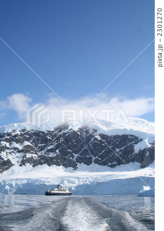 Neko Harbor7 Neko Harbor7 2301270