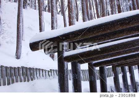 厳寒の荒神社 2301898