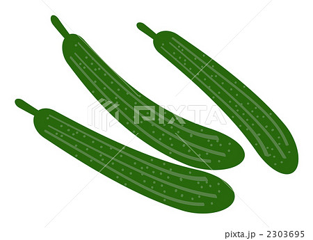 きゅうり きゅうり 2303695