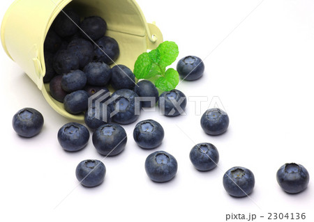 ブルーベリー ブルーベリー 2304136