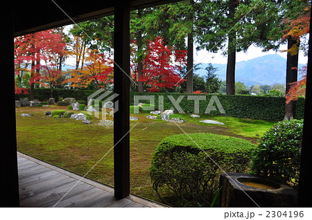 圓通寺の借景庭園 圓通寺の借景庭園 2304196