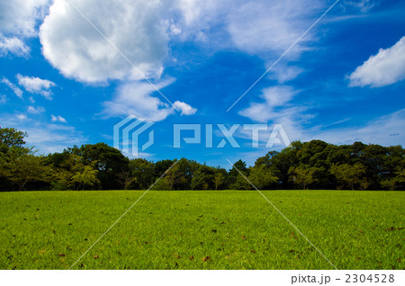 芝生の公園と青空と白い雲 2304528