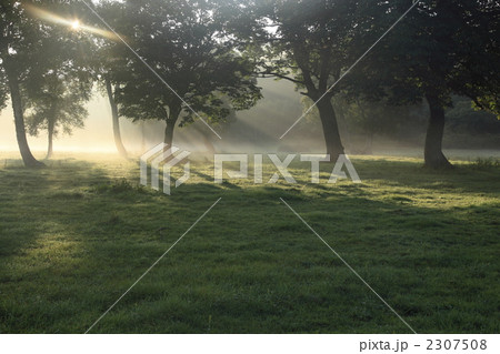 カヤノ平高原 2307508