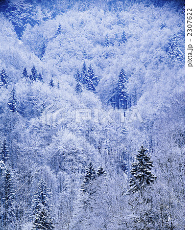 チロル地方の冬景色 チロル地方の冬景色 2307622