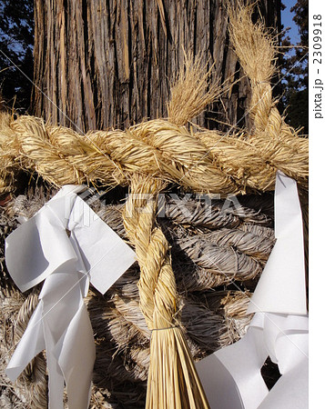 ニッポンの宗教3 ニッポンの宗教3 2309918