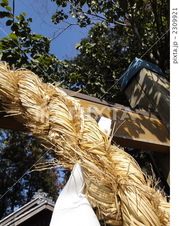 ニッポンの宗教5 ニッポンの宗教5 2309921