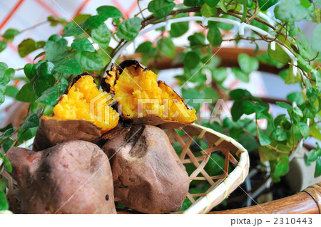 焼き芋(安納芋) Ⅲ 焼き芋(安納芋) Ⅲ 2310443